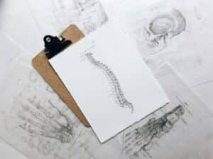 drawing of a spine against a clipboard