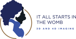 It All Starts In The Womb | 3D 4D Ultrasound |